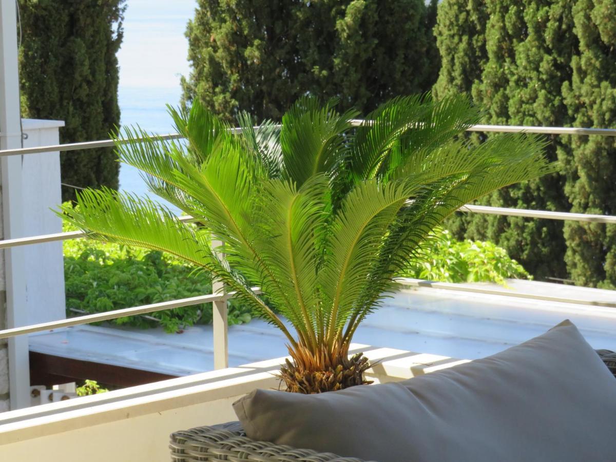 Villa King Dubrovnik Eksteriør bilde